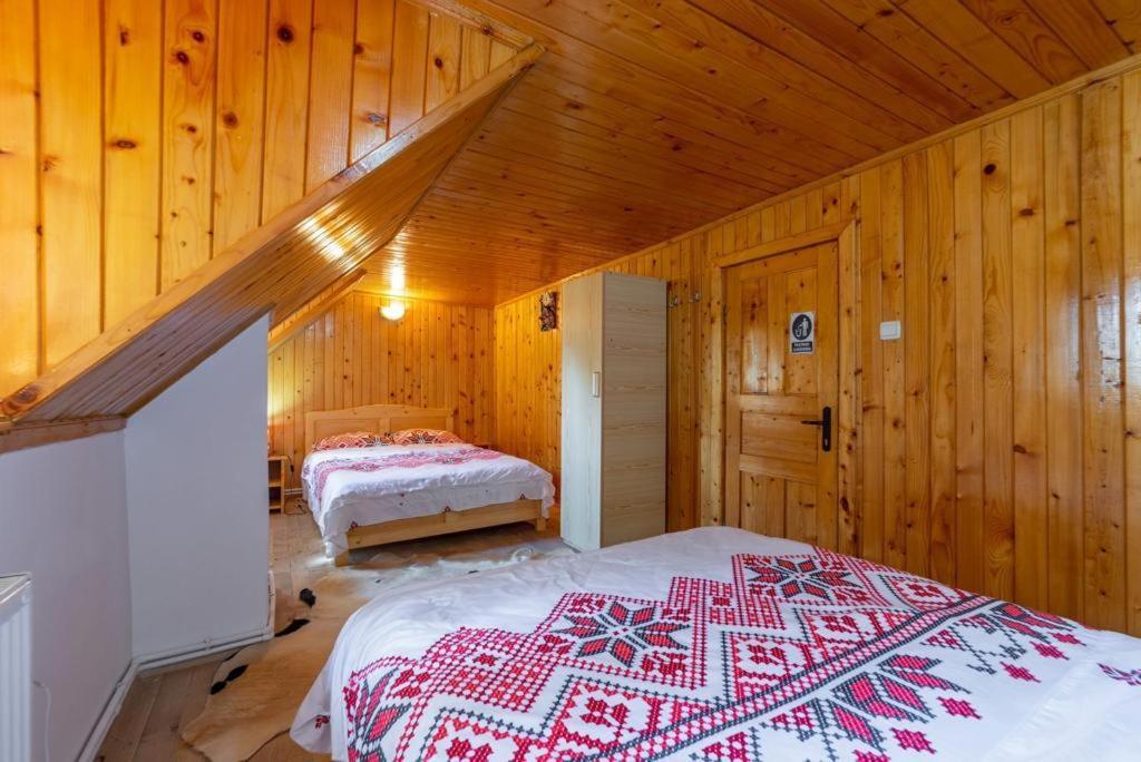 Cabana Rausor Cimpulung Εξωτερικό φωτογραφία