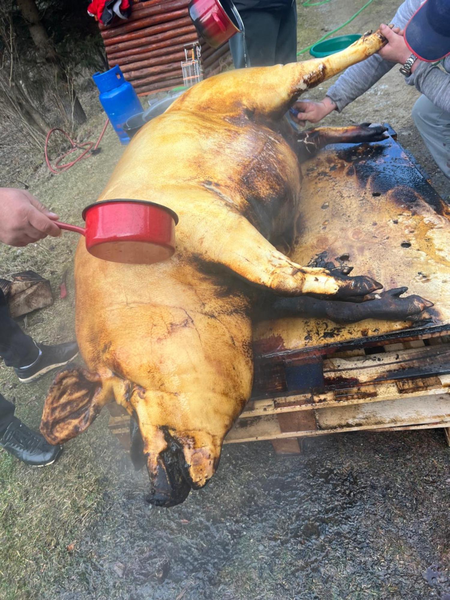 Cabana Rausor Cimpulung Εξωτερικό φωτογραφία